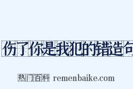 伤了你是我犯的错造句是什么意思的图片